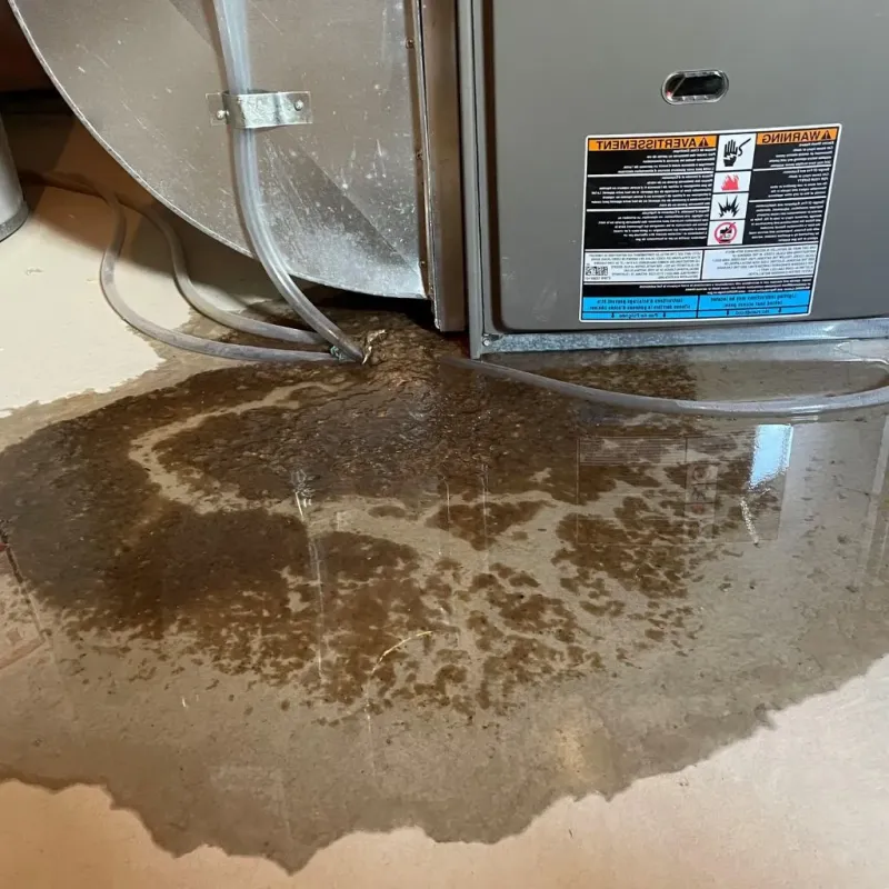 Pipe Burst and Leak Restoration in West Norriton, PA